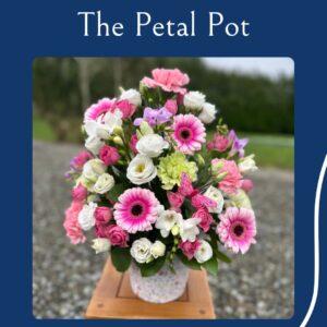 The Petal Pot